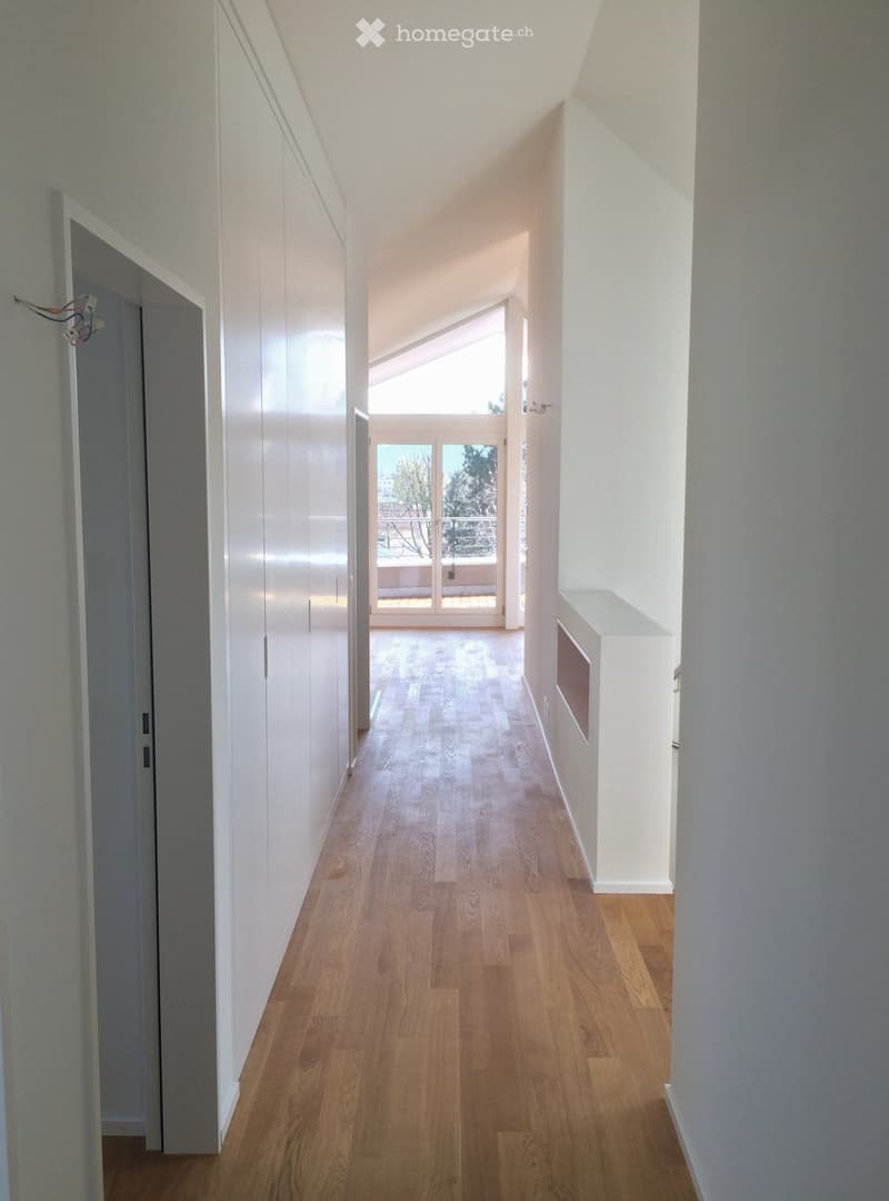 Bright, modern hallway with wooden flooring, white walls, built-in closet, and a view to a balcony area through large glass doors.