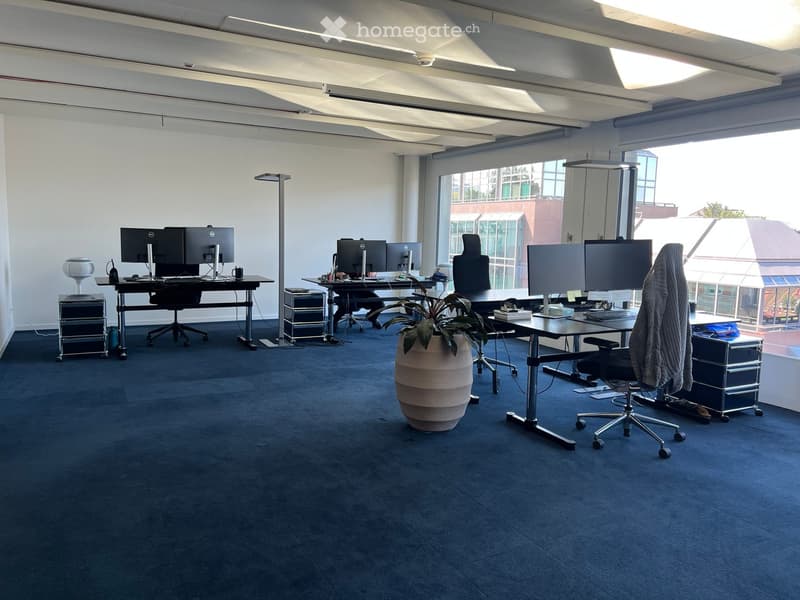 Modern office space with multiple desks, computer monitors, chairs, and a large potted plant in the center.