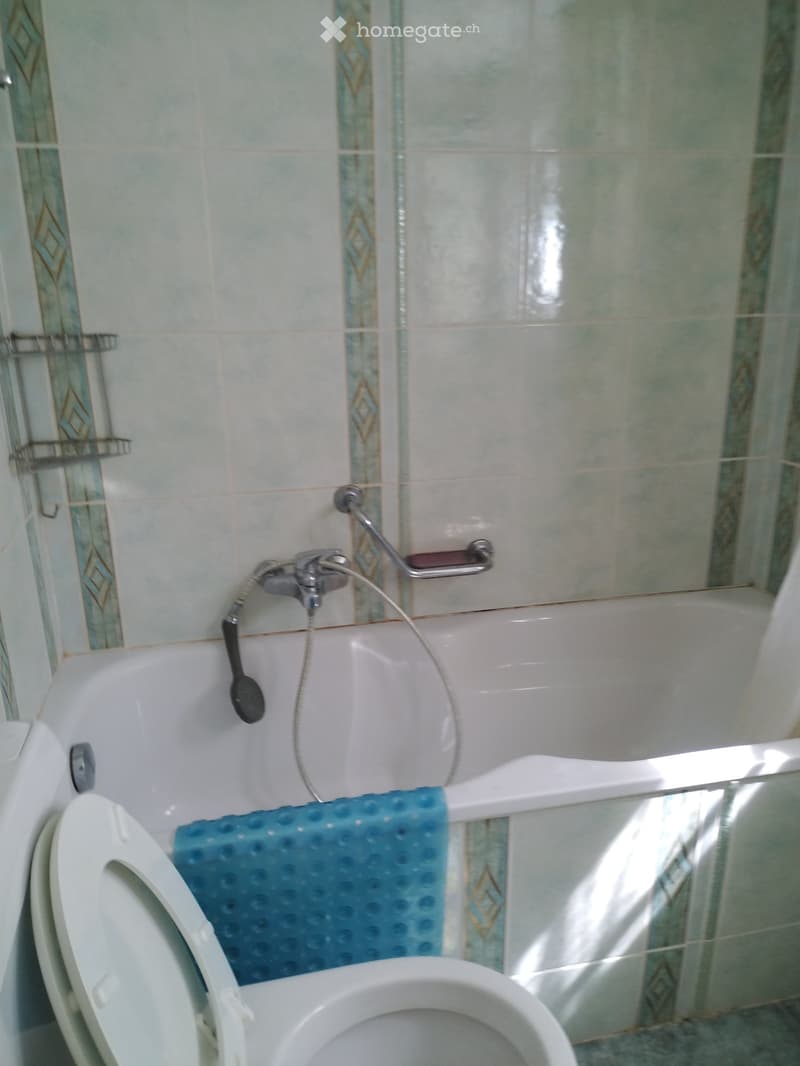 Bathroom with a bathtub, toilet, faucet, showerhead, and handrail. The tiles feature a light green color with decorative borders.