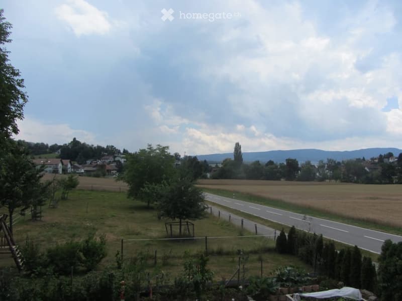 A peaceful garden area with a fenced plot, trees, and a road leading to a rural village with houses and distant mountains.