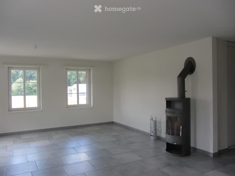 Empty room with tiled floor, white walls, two windows, and a wood-burning stove with a chimney pipe.