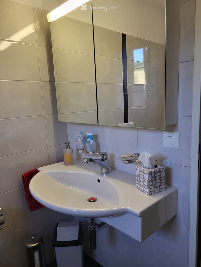 Modern bathroom with a white sink, chrome faucet, toothbrush holder, toothpaste tube, soap dispenser, towel, tissue box, and a trash bin.