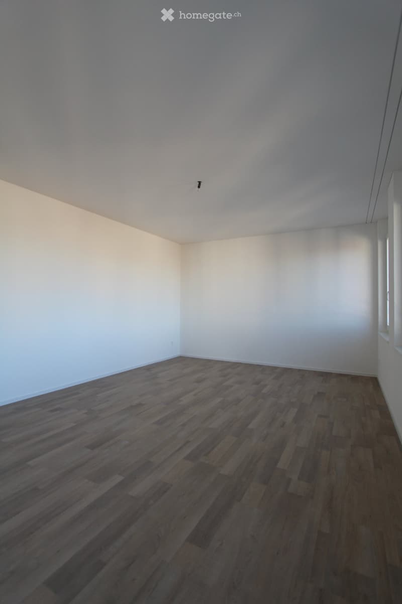 empty room, wooden floor, white walls, ceiling lights, windows, no furniture