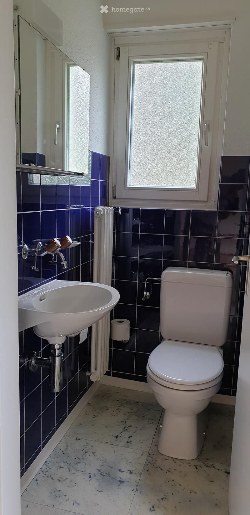 Bathroom with white toilet, sink, and faucet, blue tiled walls, and a radiator. Mirror above the sink.
