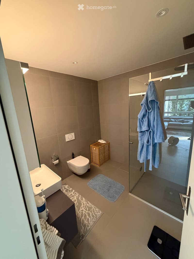 Beautiful 3.5 ground floor apartment (9)