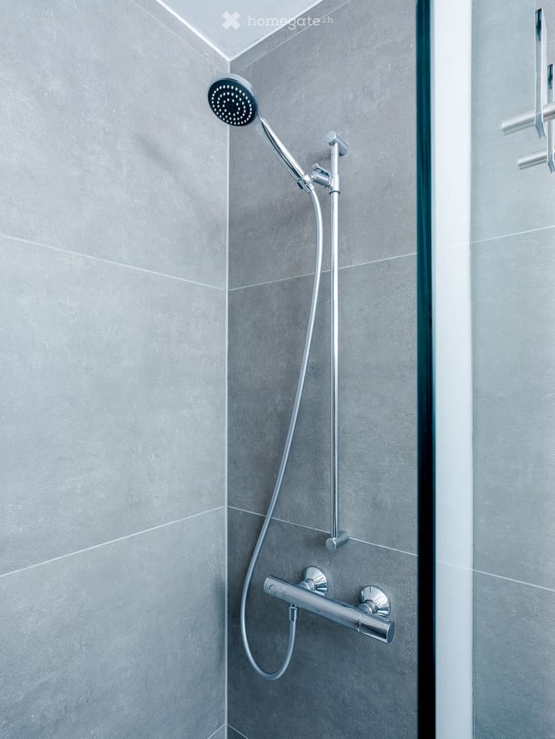bathroom shower area, stainless steel fixtures, tiled walls