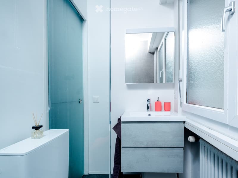 small bathroom with blue glass door, white sink, mirror, white walls, grey vanity, glass windows, radiator