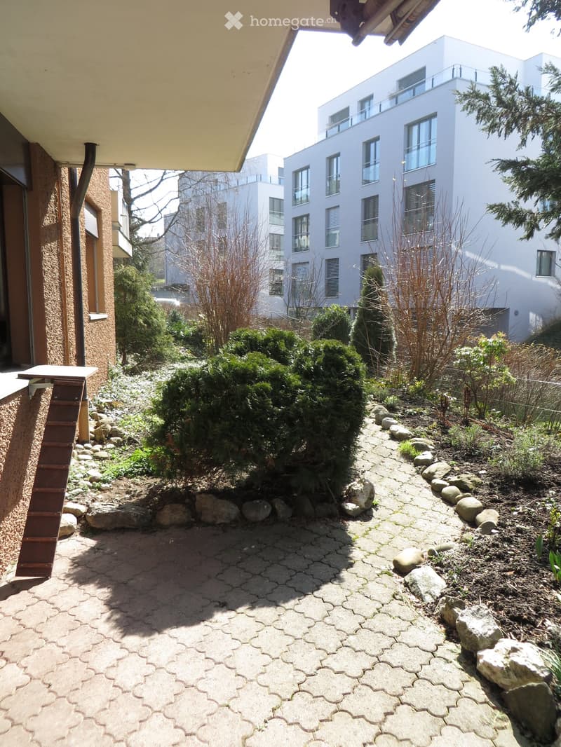 cobblestone walkway, shrubs, trees, garden path, paved walkway