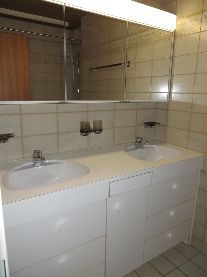 Two sinks, modern design, cabinets, mirror, shower area