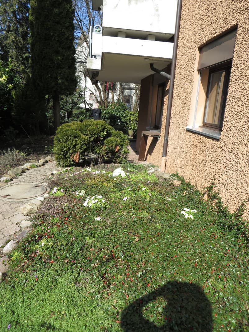 Lawn with bushes and flower plants, paved path, garden view, green grass.