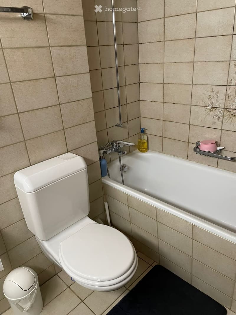 Bathroom with toilet, bathtub, soap holder, trash can