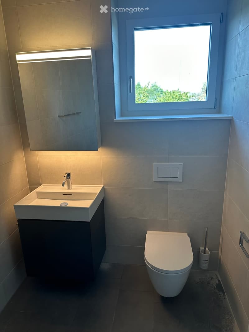 Modern bathroom with a white sink, sleek faucet, toilet, and a large window offering a view of greenery. Features include a built-in light fixture above the mirror and a small shelf for the toilet brush.