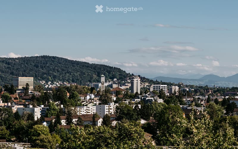 A panoramic view of a cityscape with a mix of residential and commercial buildings, surrounded by lush green trees and a backdrop of rolling hills and mountains under a clear blue sky.