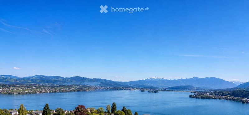 Panoramic view of a lake surrounded by mountains and a town, with clear blue skies and scattered trees in the foreground.