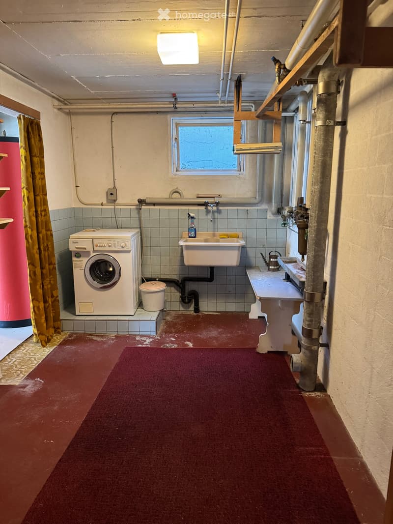 Utility room with a washing machine, sink, and various pipes and fixtures.