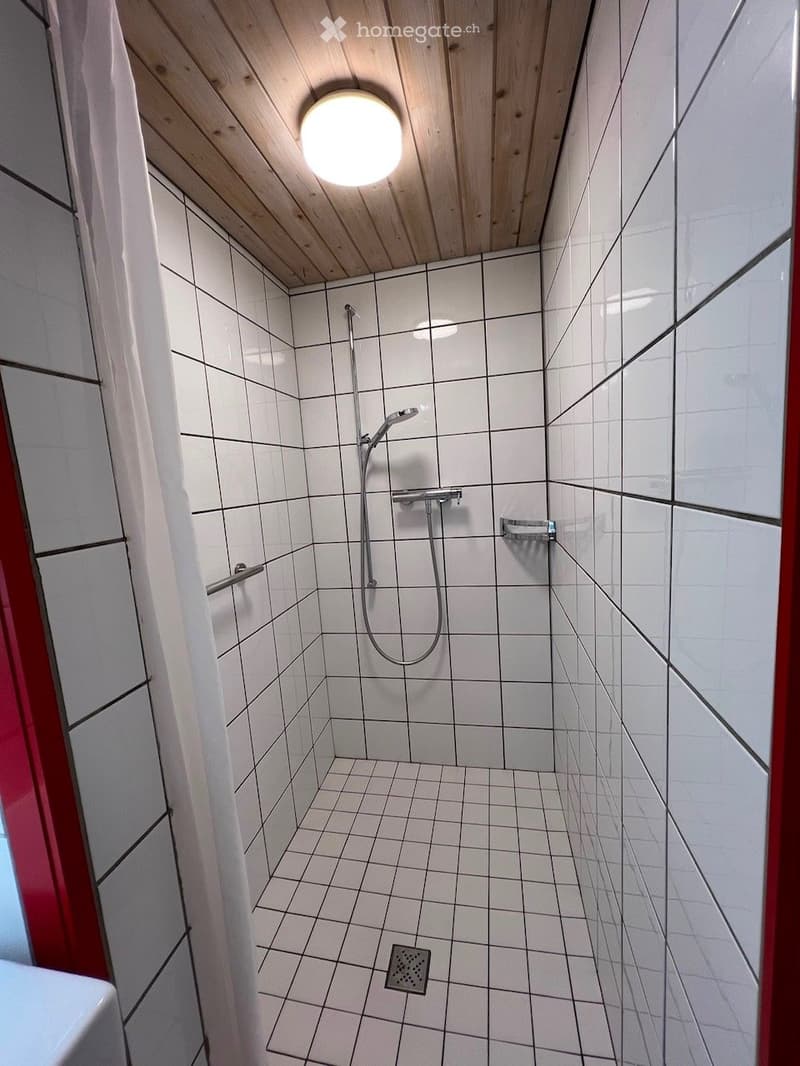 Modern shower area with white tiled walls and floor, a round ceiling light, and a handheld showerhead with a hose.