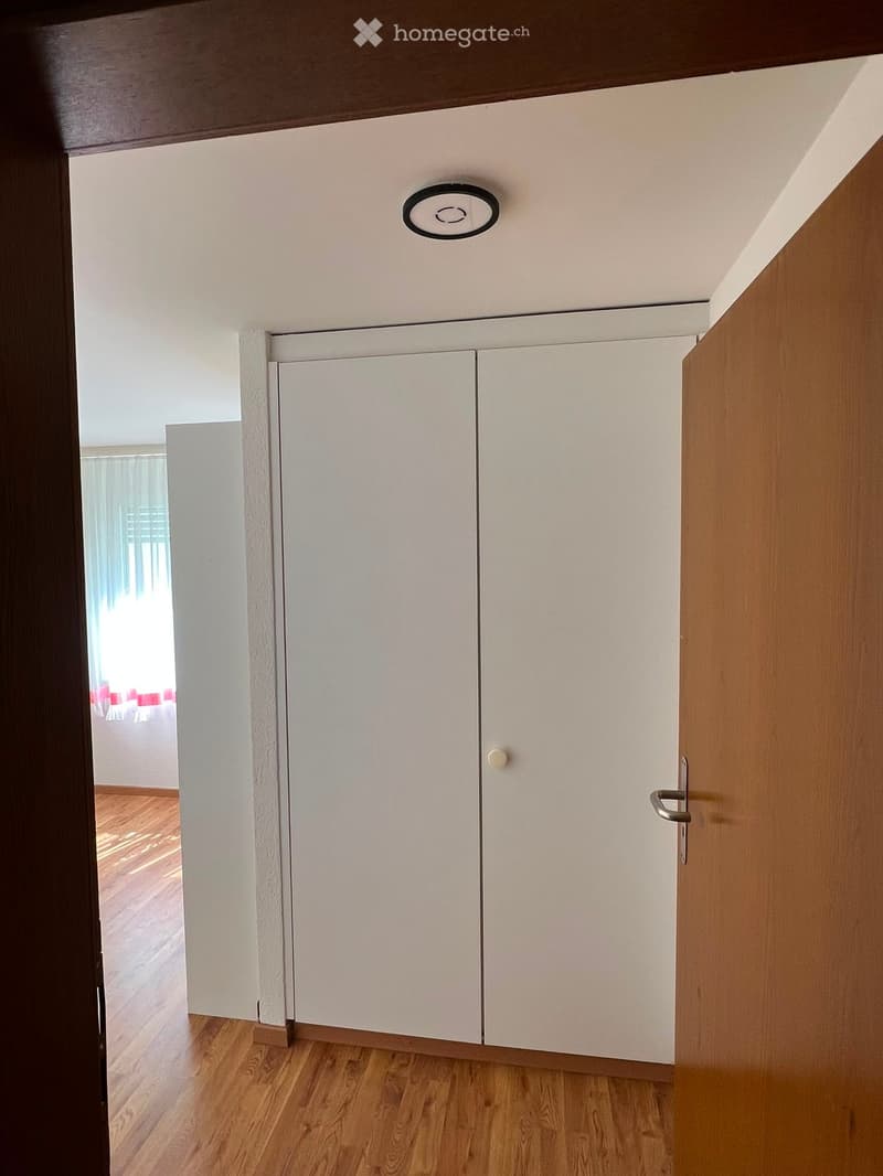 A narrow hallway with white double doors, wooden flooring, and a recessed ceiling light. The hallway leads to another room with visible furniture and curtains.