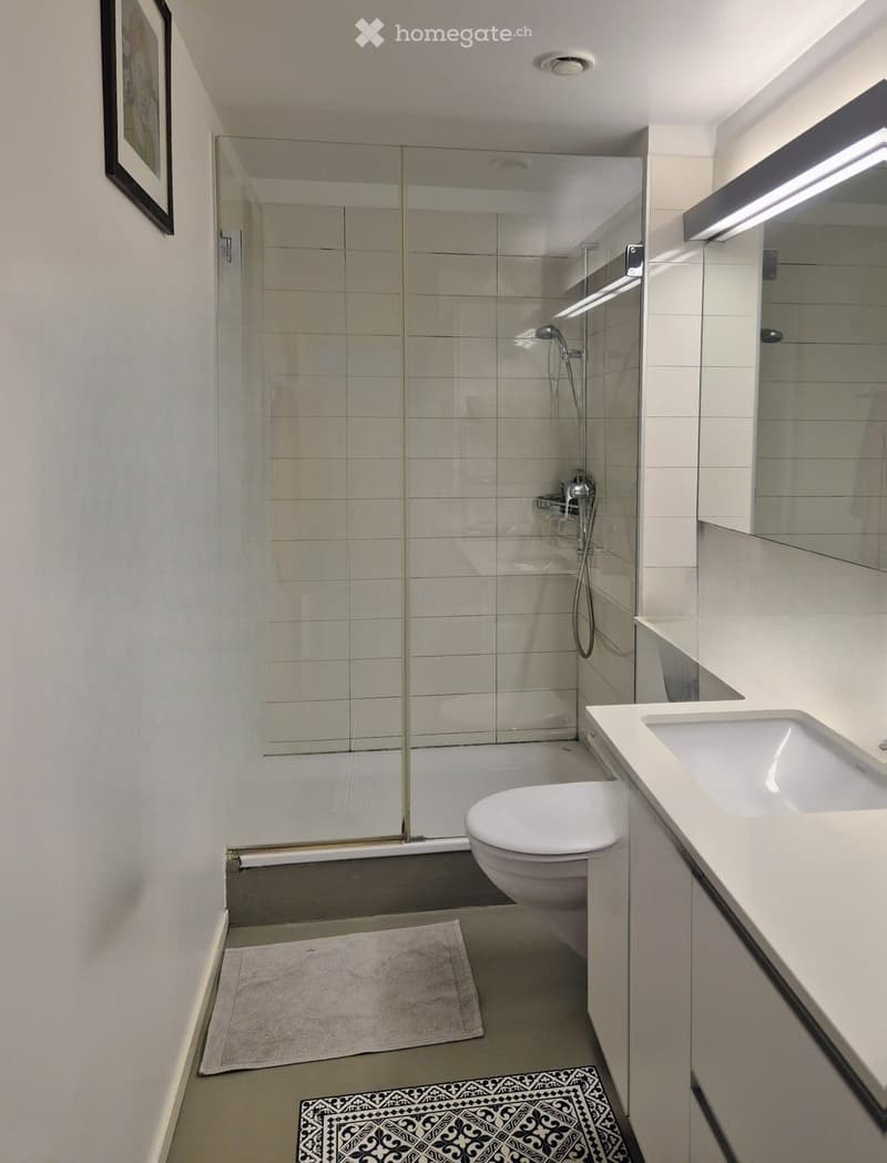 Modern bathroom with white tiles, a glass-enclosed shower, a toilet, a sink with a countertop, and a decorative rug on the floor.