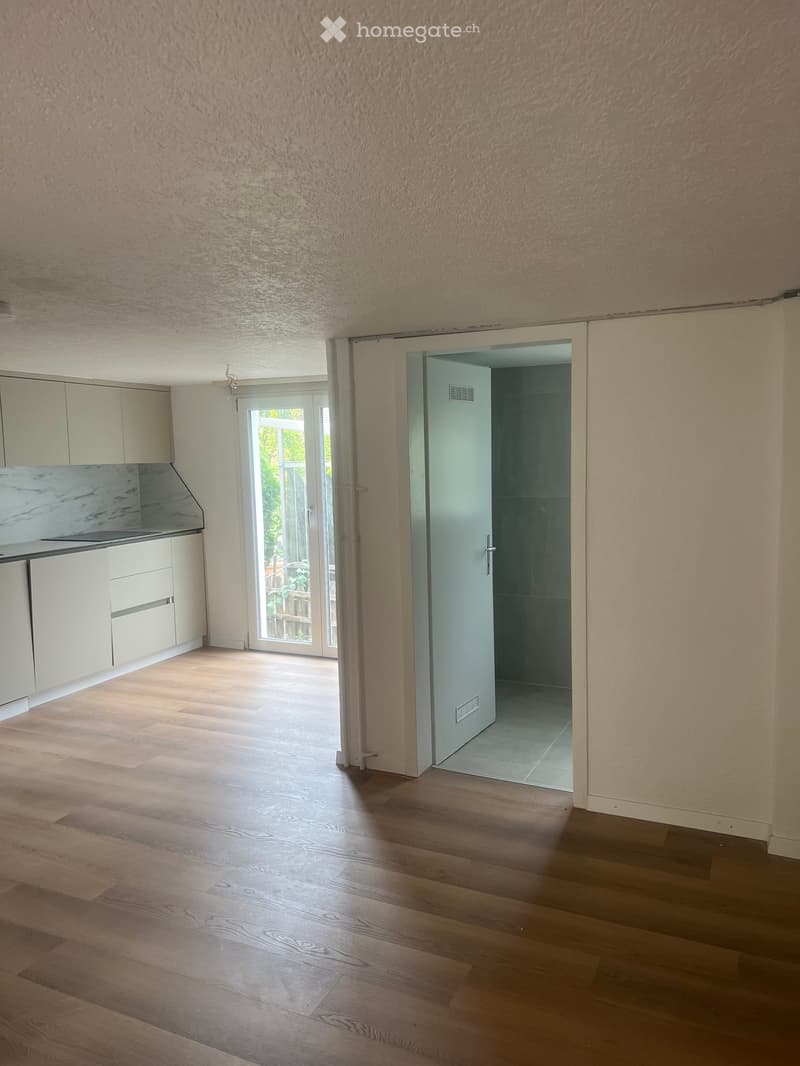 Empty room with wooden flooring, light-colored walls, and a sliding glass door leading to an outdoor area. A small closet with white doors is visible on the left side.