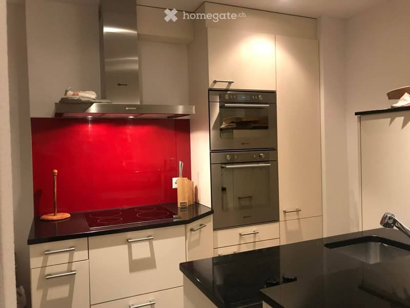 Modern kitchen with white cabinets, black countertops, stainless steel oven, and a red backsplash.