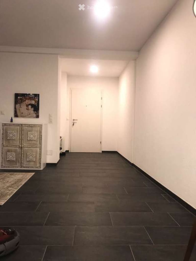 A narrow hallway with dark tiled flooring, white walls, and a closed door at the end. A small cabinet with decorative panels and a framed picture is visible on the left side.