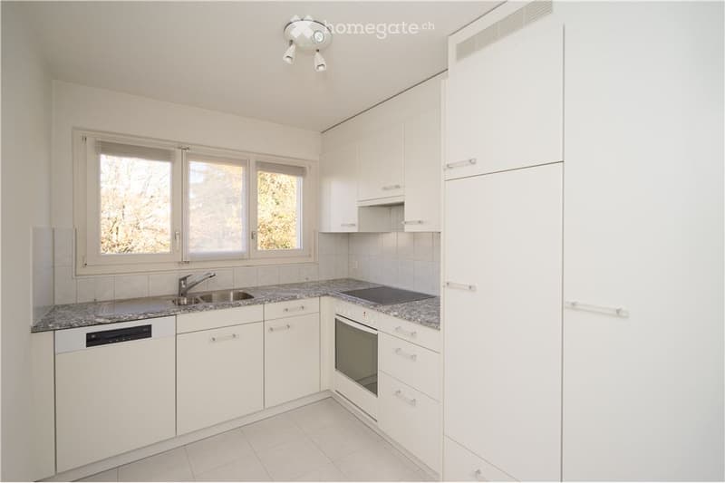 Modern kitchen with white cabinets, granite countertops, stainless steel appliances, and large windows.
