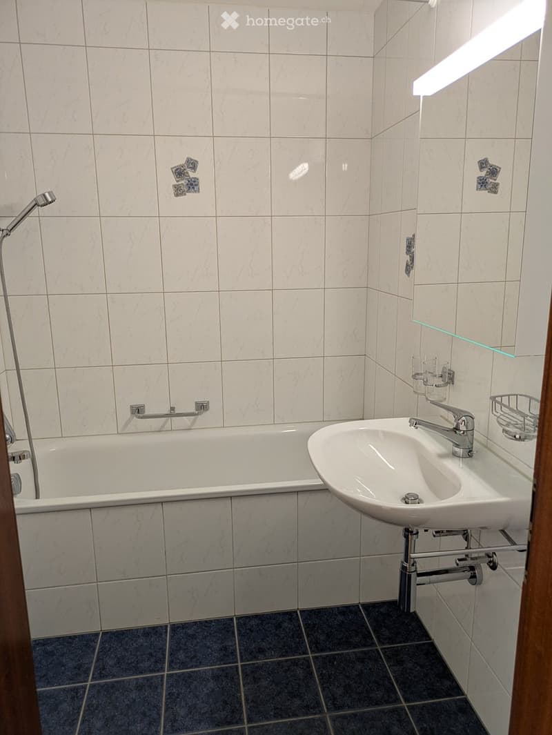 Modern bathroom with a white bathtub, a white sink with a chrome faucet, a handheld showerhead, a handrail, a mirror, and a cup on the wall.