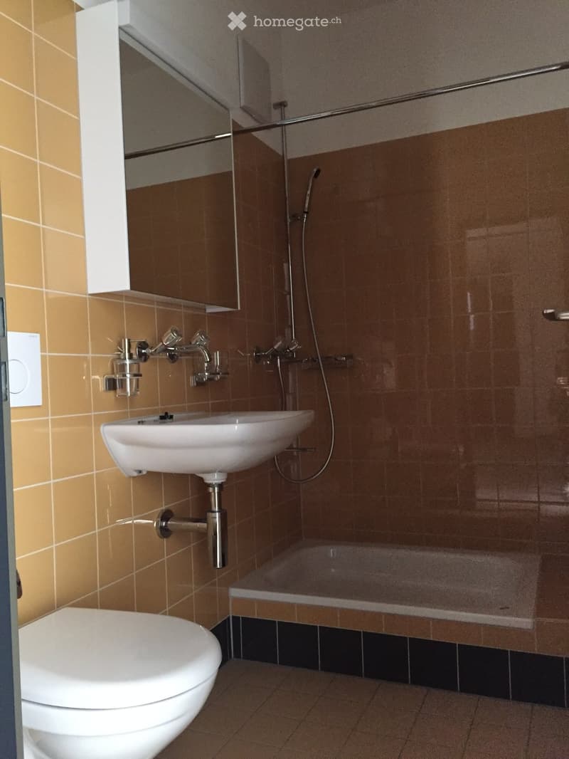 Bathroom: white bathtub, shower head and hose, white sink, mirror, beige tiles, white toilet