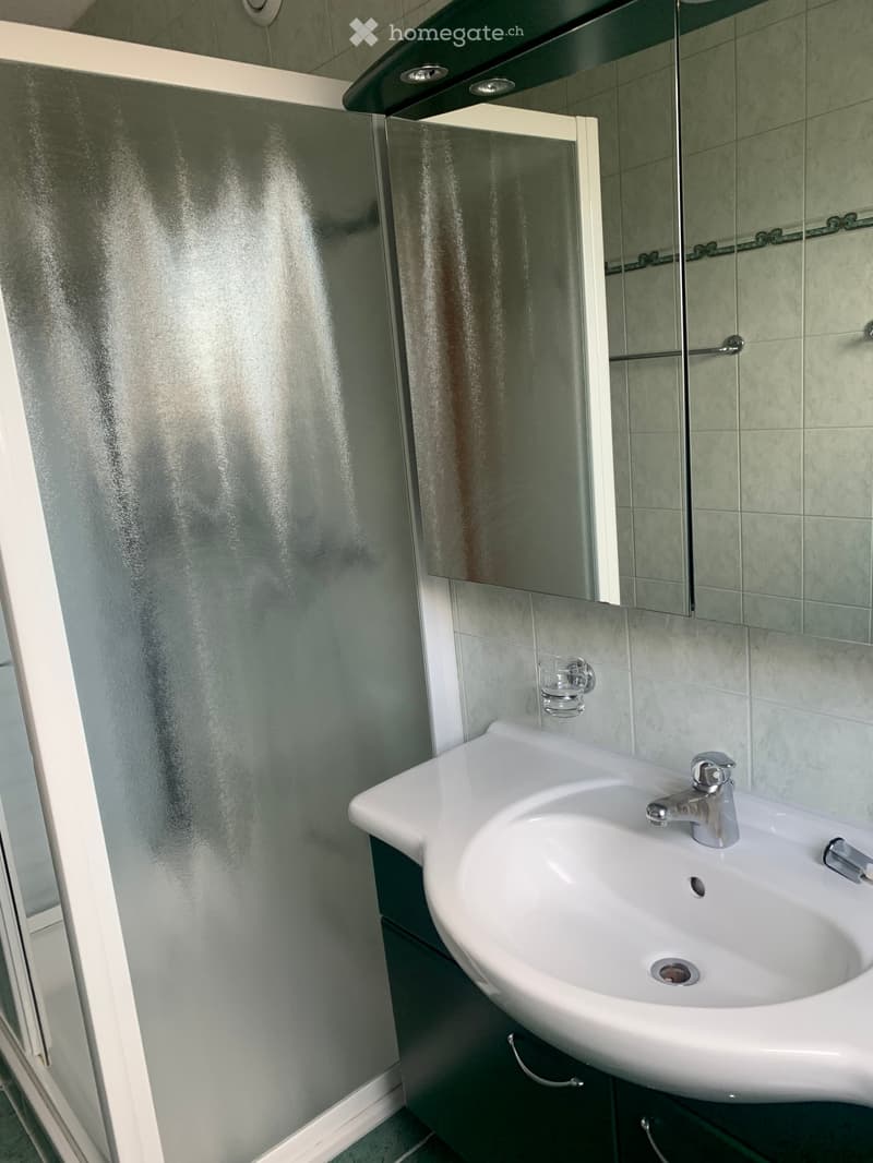 Modern bathroom with a white sink, chrome faucet, mirrored cabinet, and a glass shower enclosure.