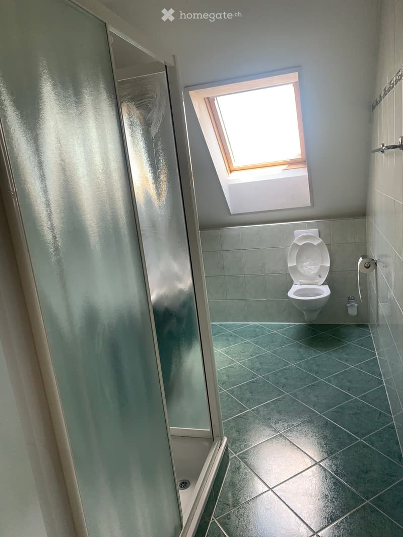 Bathroom with a toilet, tiled walls and floor, a glass shower enclosure, and a skylight window above the toilet.
