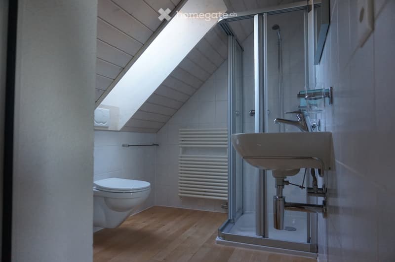Modern bathroom with wooden flooring, white tiled walls, a toilet, a sink with a chrome faucet, a glass-enclosed shower, and a white radiator.