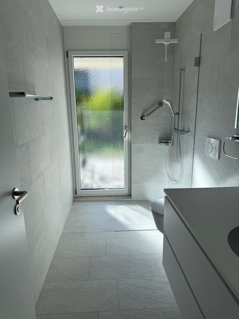 Modern bathroom with grey tiles, a glass shower enclosure, a toilet, and a sink with a sleek faucet.