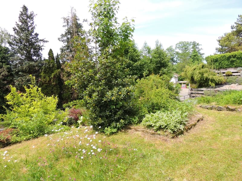 A well-maintained garden with a variety of trees, shrubs, and flowering plants, featuring a gravel pathway and a small structure in the background.