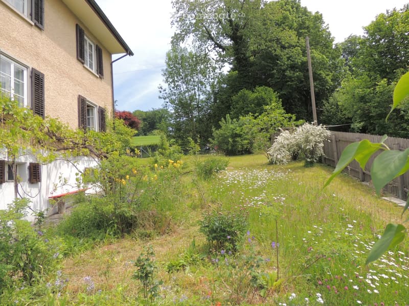 Lush garden with a variety of flowers and plants, a wooden fence, and a house with multiple windows and shutters in the background.