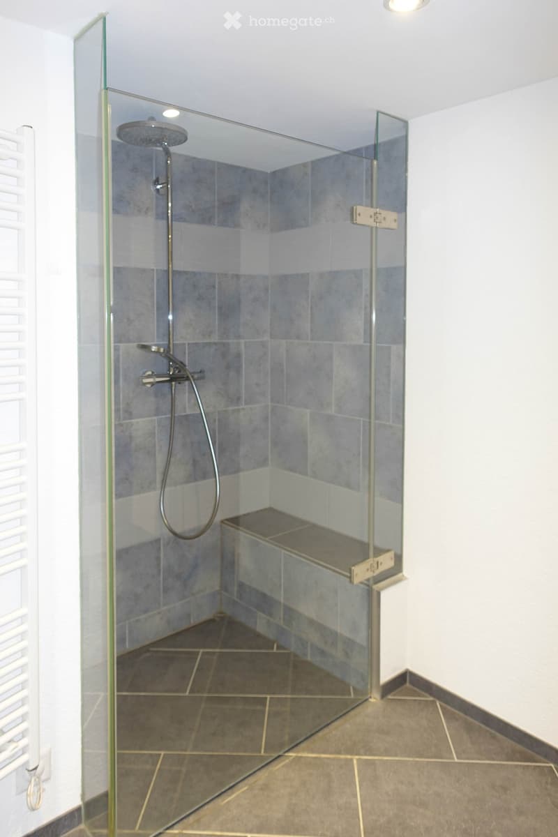 Modern shower area with a glass enclosure, grey tiles, and a built-in bench. Features a handheld showerhead and a fixed overhead showerhead.