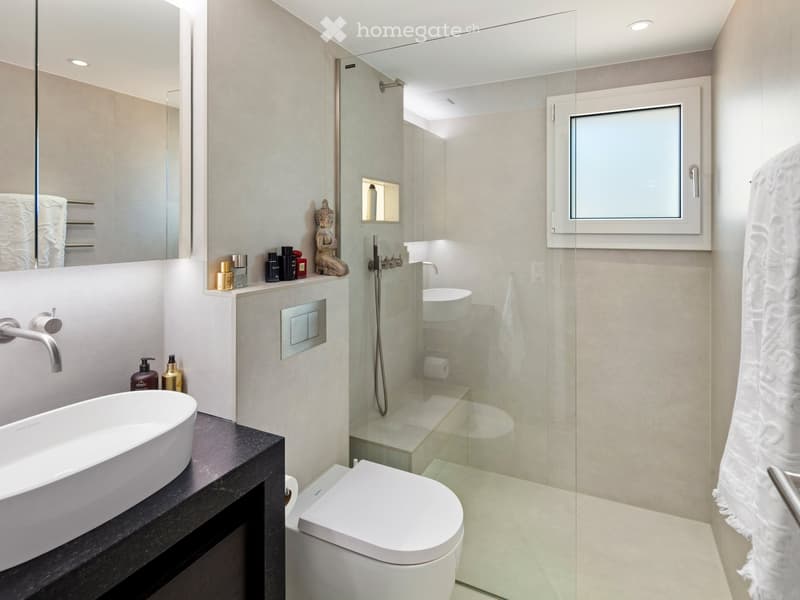 Modern bathroom with a large sink, toilet, glass-enclosed shower, and decorative items on the counter.