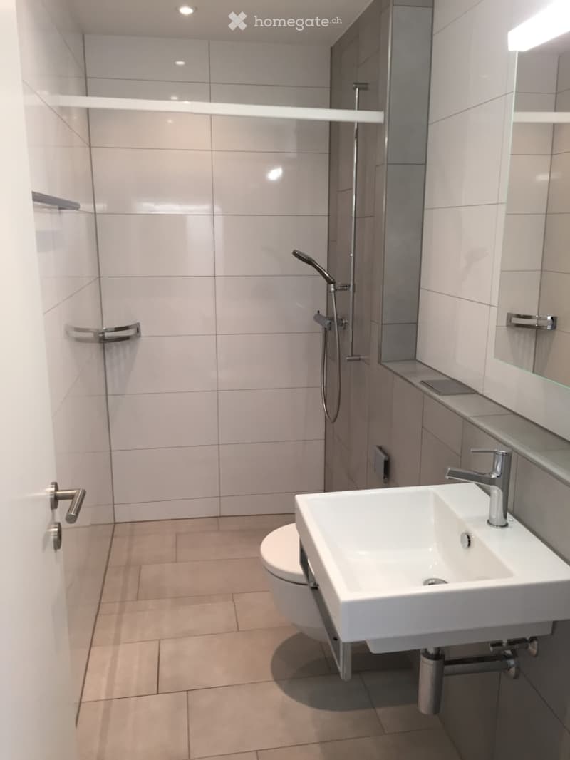 Modern bathroom with white tiles, a toilet, a sink with a modern faucet, a shower with a handheld sprayer, and built-in shelves.