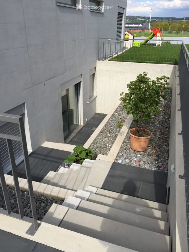 Modern outdoor area with concrete steps leading up to a raised platform, small potted plant, and low greenery, adjacent to a building with large windows and a metal railing.