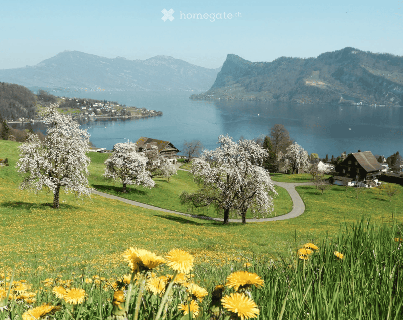 Scenic view of a lake surrounded by mountains, with a small village and blooming trees in the foreground.