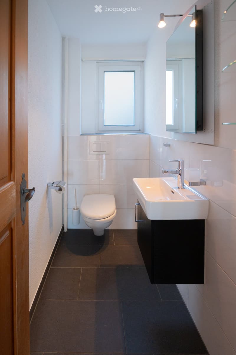 Modern bathroom with dark tiled floor, white walls, a toilet, a sink with a modern faucet, and a large mirror above the sink.