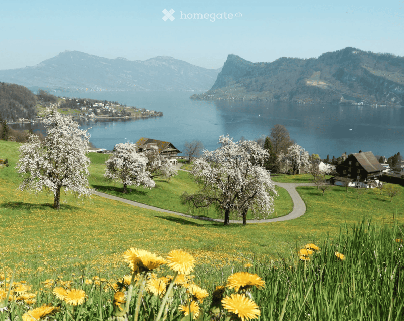 A scenic lakeside view with a green meadow, blooming trees, and traditional houses near a calm lake surrounded by mountains.