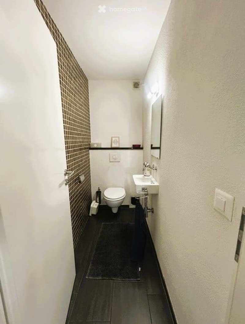 Modern, compact bathroom with white walls, dark tiled floor, and a dark brown accent wall. Features a toilet, sink with a mirror, and a small rug on the floor.