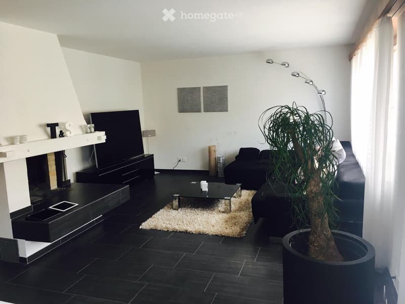 Modern living room with black tiled flooring, a fireplace, a sofa, a coffee table, a television, and a large potted plant.