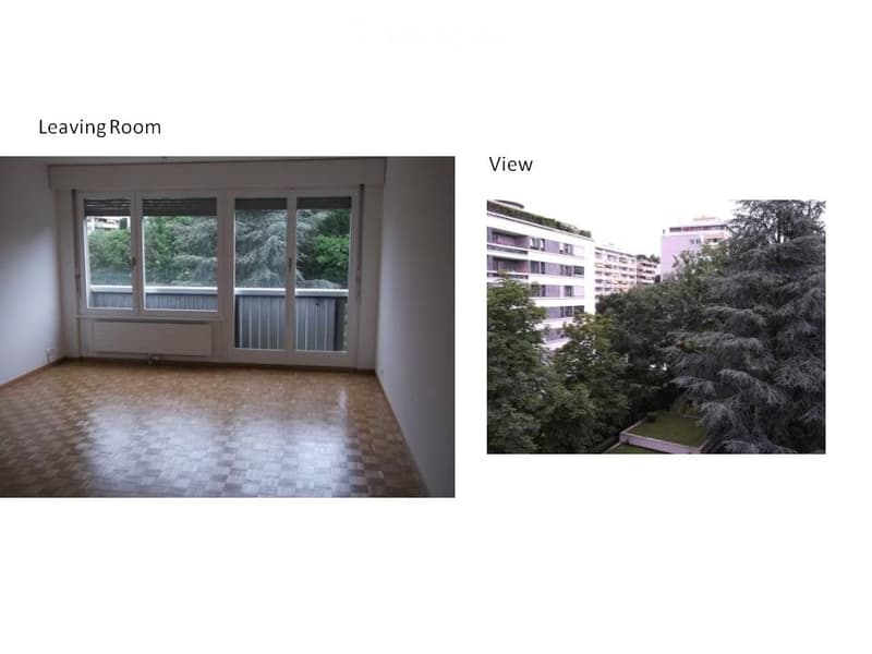 Empty room with wooden flooring, large windows, and a radiator. No furniture or equipment present.