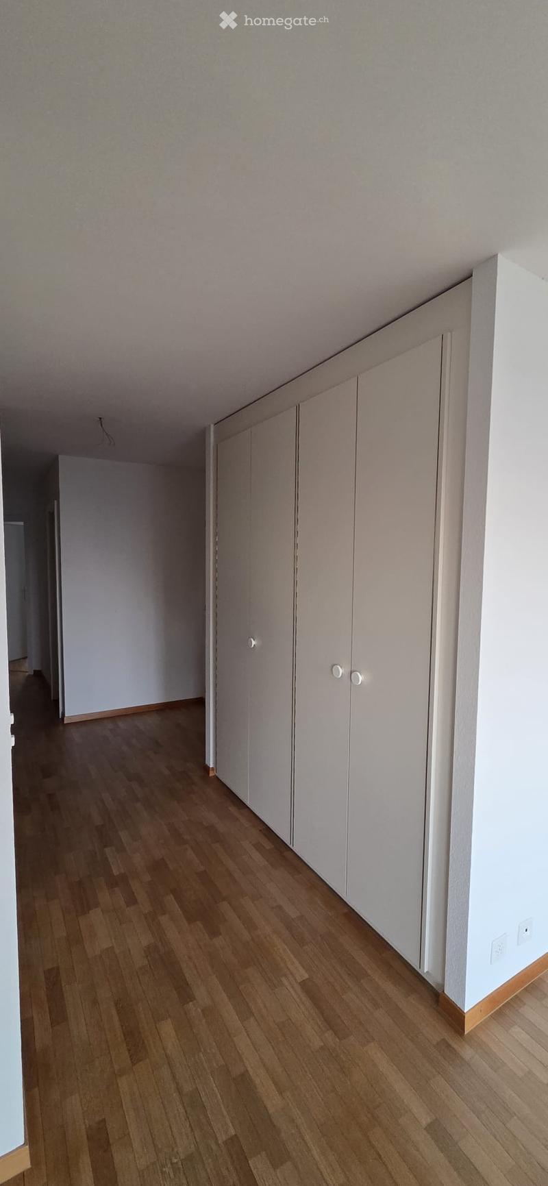 Empty hallway with light wooden flooring and white walls, featuring built-in white closet units on one side.