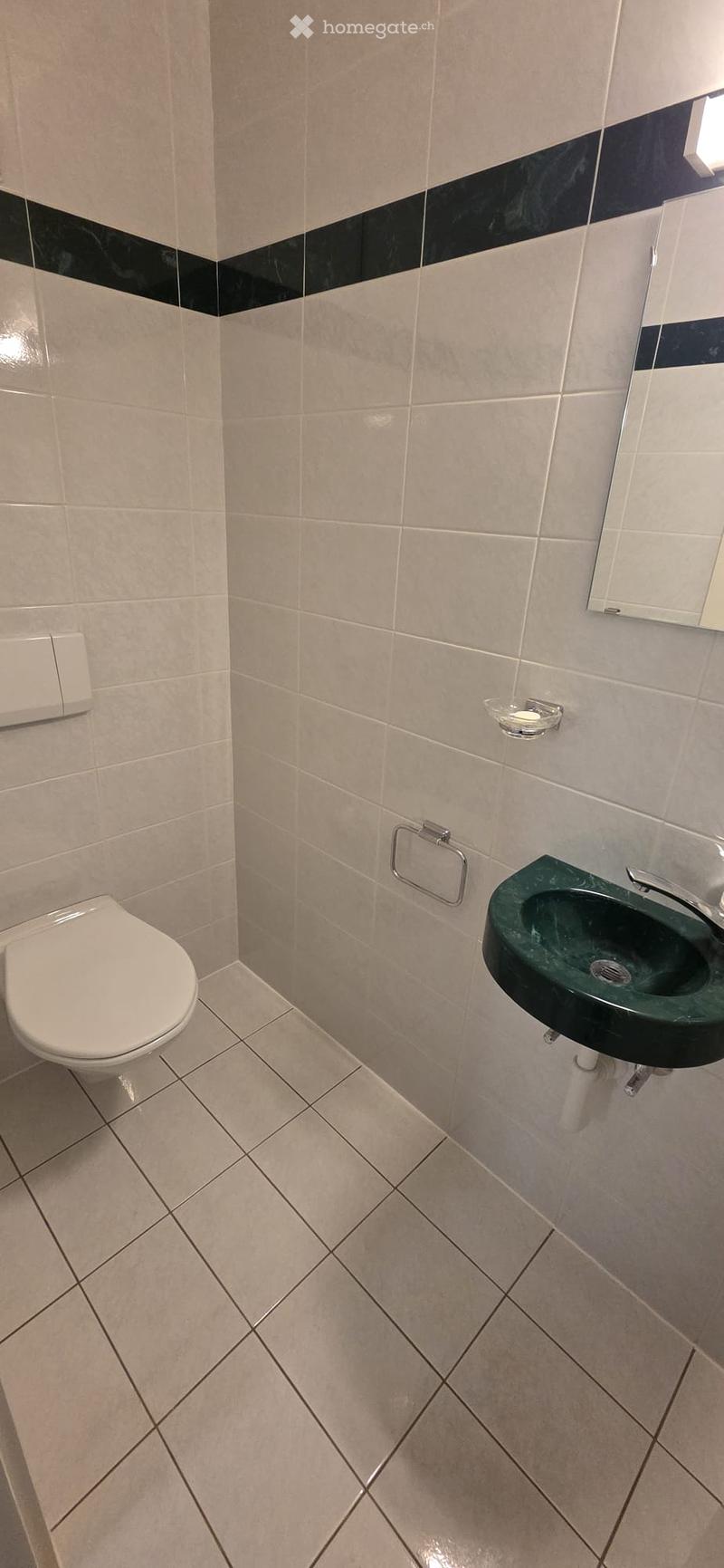 Modern bathroom with beige tiles, a white toilet, a green sink, a mirror, and a towel ring.