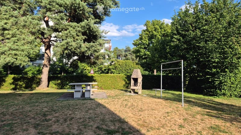 Outdoor area with a grassy lawn, a concrete table and bench, a barbecue, and a set of parallel bars, surrounded by trees and hedges.