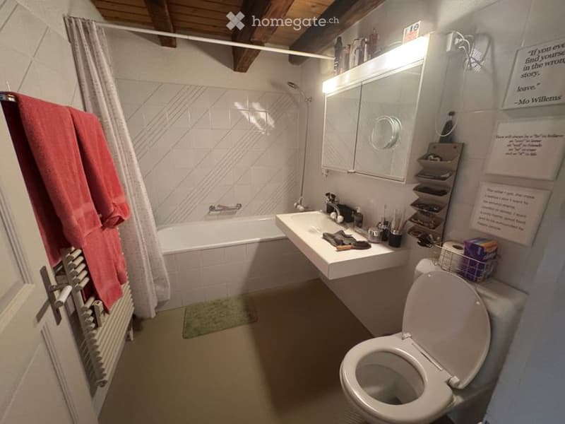 Bathroom with a white tiled shower area, a bathtub, a toilet, a sink with a mirror above it, and a towel hanging on the side. The room has a wooden ceiling and a small green rug on the floor.