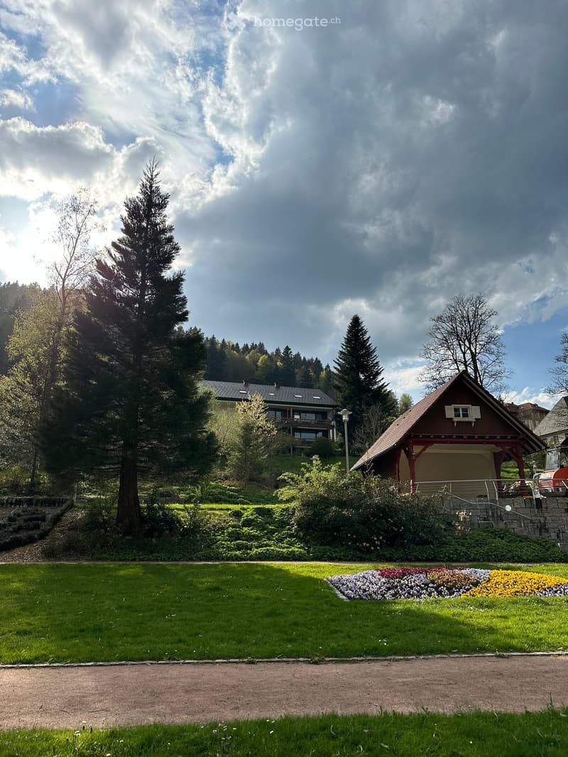green grass, colorful flowers, trees, shrubs, a small building