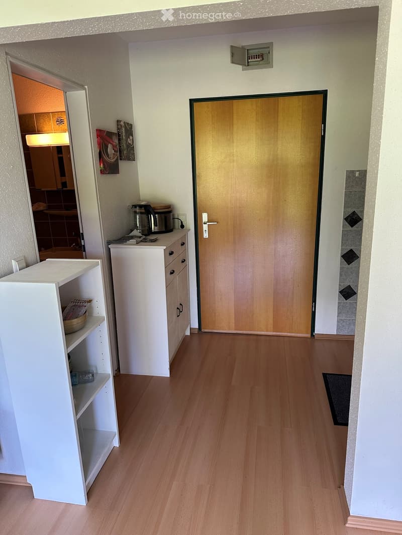 A clean, well-lit hallway with wooden flooring, white walls, and a small white cabinet with shelves on the left side. A wooden door is visible at the end of the hallway, and a small shelf with a few items is placed near the door.